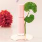 RIMAN ICD Beauty Glow Up Lip Oil - 公價發售 (韓國)